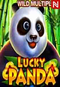 Lucky Panda